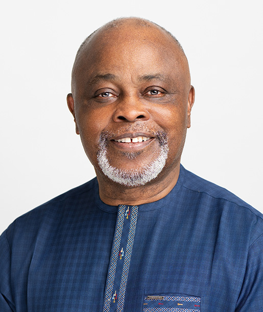 Mr. Basil F. Olisa